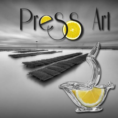 Lot de 2 presses citron - Press Art 