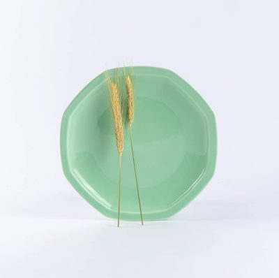 Assiette en porcelaine moderne plate octogonale - Ogre la Fabrique - Vaisselle - 25cm verte