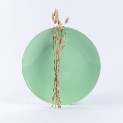 Assiette en porcelaine moderne plate ronde - Ogre la Fabrique - Vaisselle - 25cm verte
