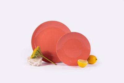 Assiette en porcelaine moderne plate ronde - Ogre la Fabrique - Vaisselle - 25cm terracotta – Image 2