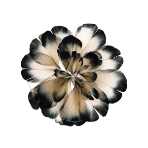 Set de table vinyle design - COROLLI - Podevache - Art de la table